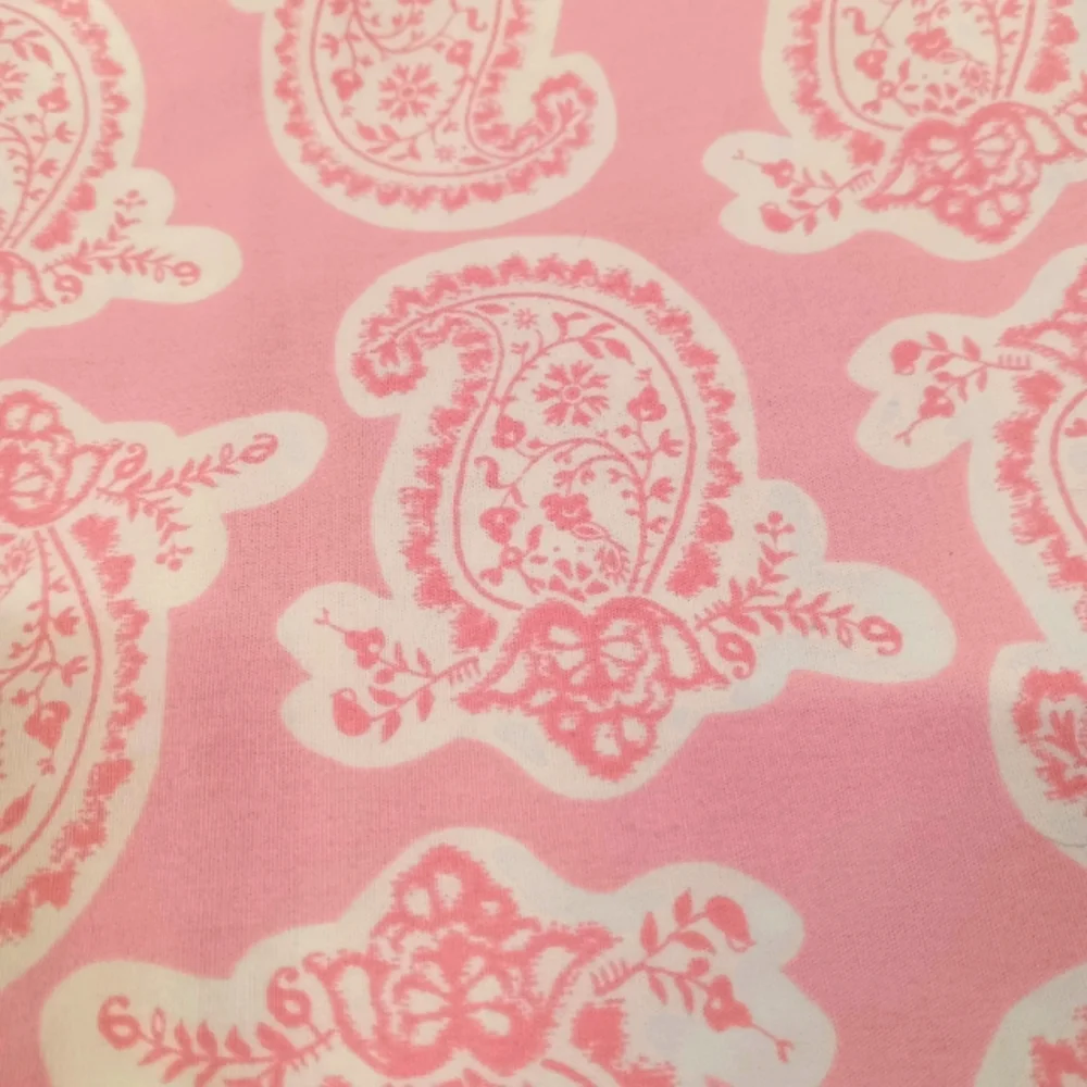 Pottery Barn Vintage PAIR Teen Pink Percale Paisley Pillow Shams